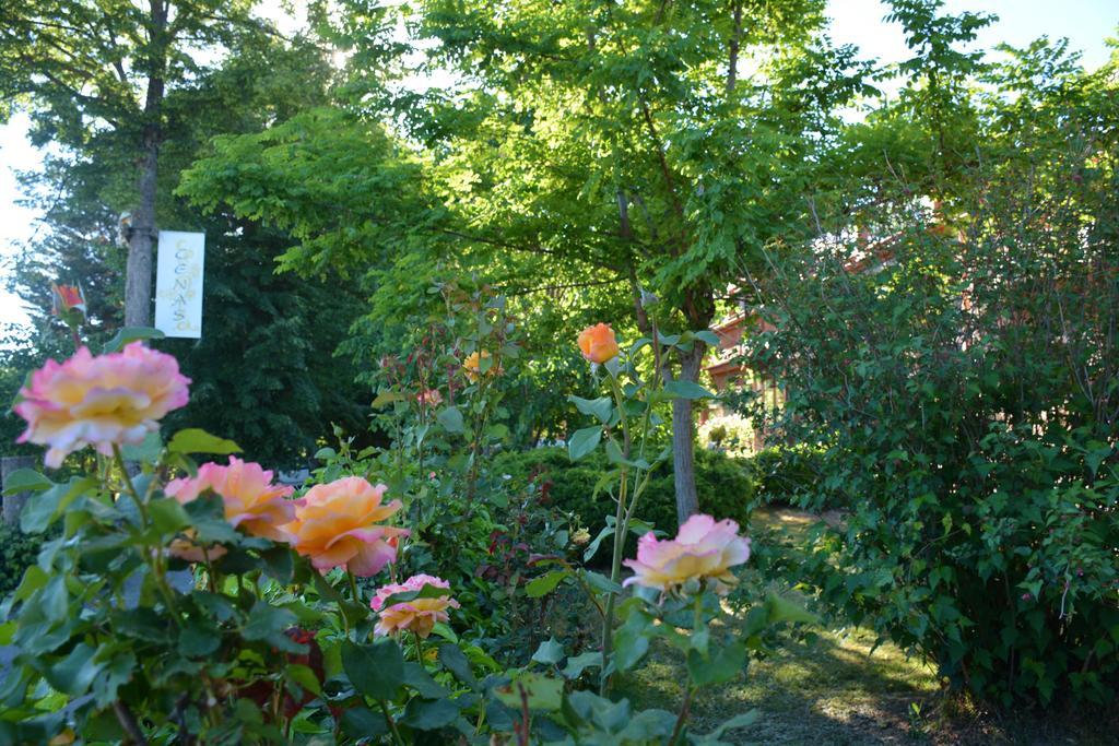 Hospedium Hostal Almanzor Navarredonda de Gredos Zewnętrze zdjęcie